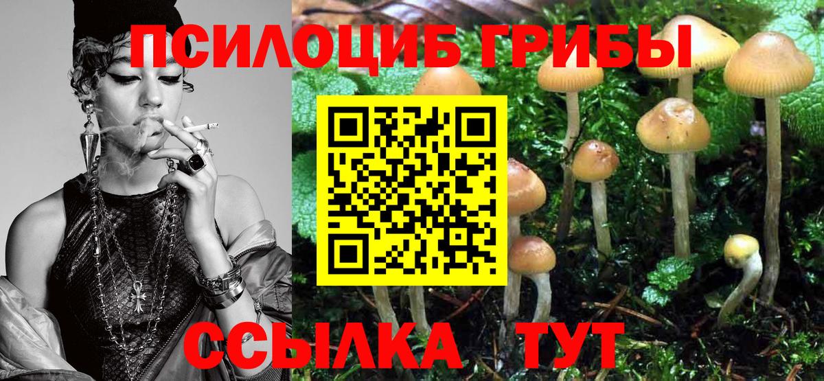 Пушкино  Галлюциногенные грибы Psilocybe  Вход с VPN 